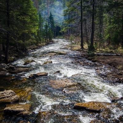 贝博app代言艾弗森下载手机版